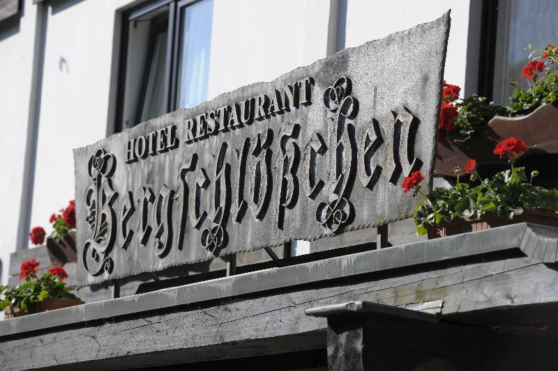 Hotel Bergschloesschen ジンメン エクステリア 写真