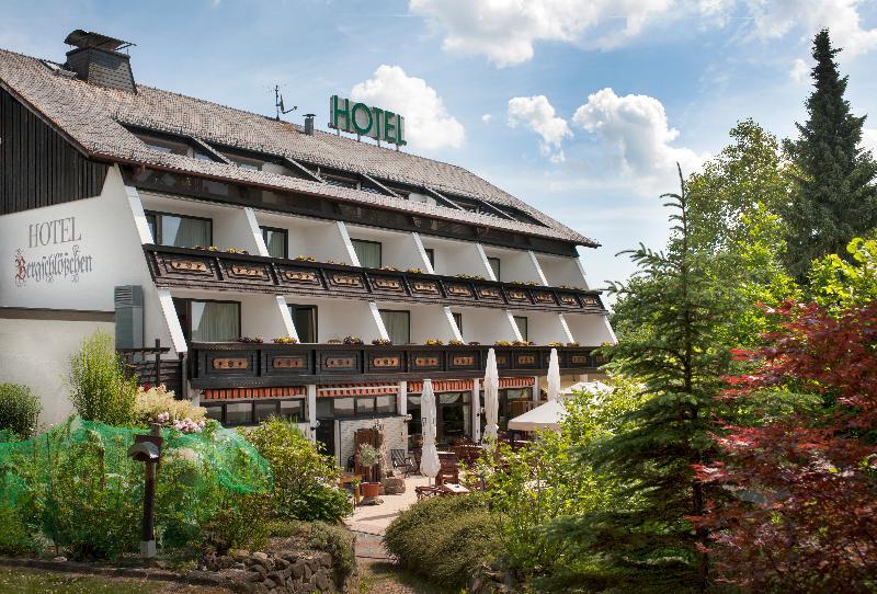 Hotel Bergschloesschen ジンメン エクステリア 写真