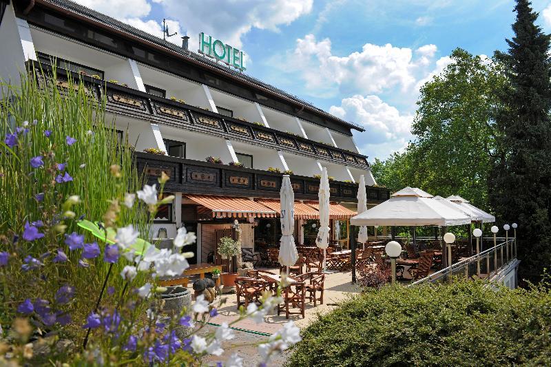 Hotel Bergschloesschen ジンメン エクステリア 写真
